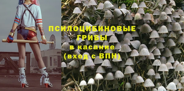молекула духа Алексин